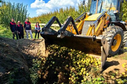 bursada-pestisite-gecit-yok