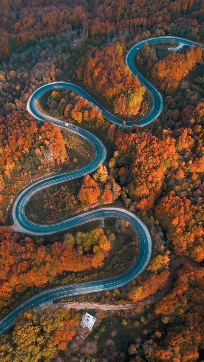 bursada-sonbaharla-ormanlara-gelen-renk-cumbusu