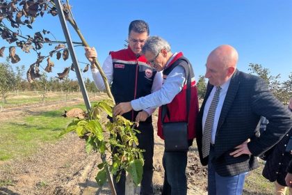 ceviz-bahceleri-buyuyor-uretici-yuzu-guluyor