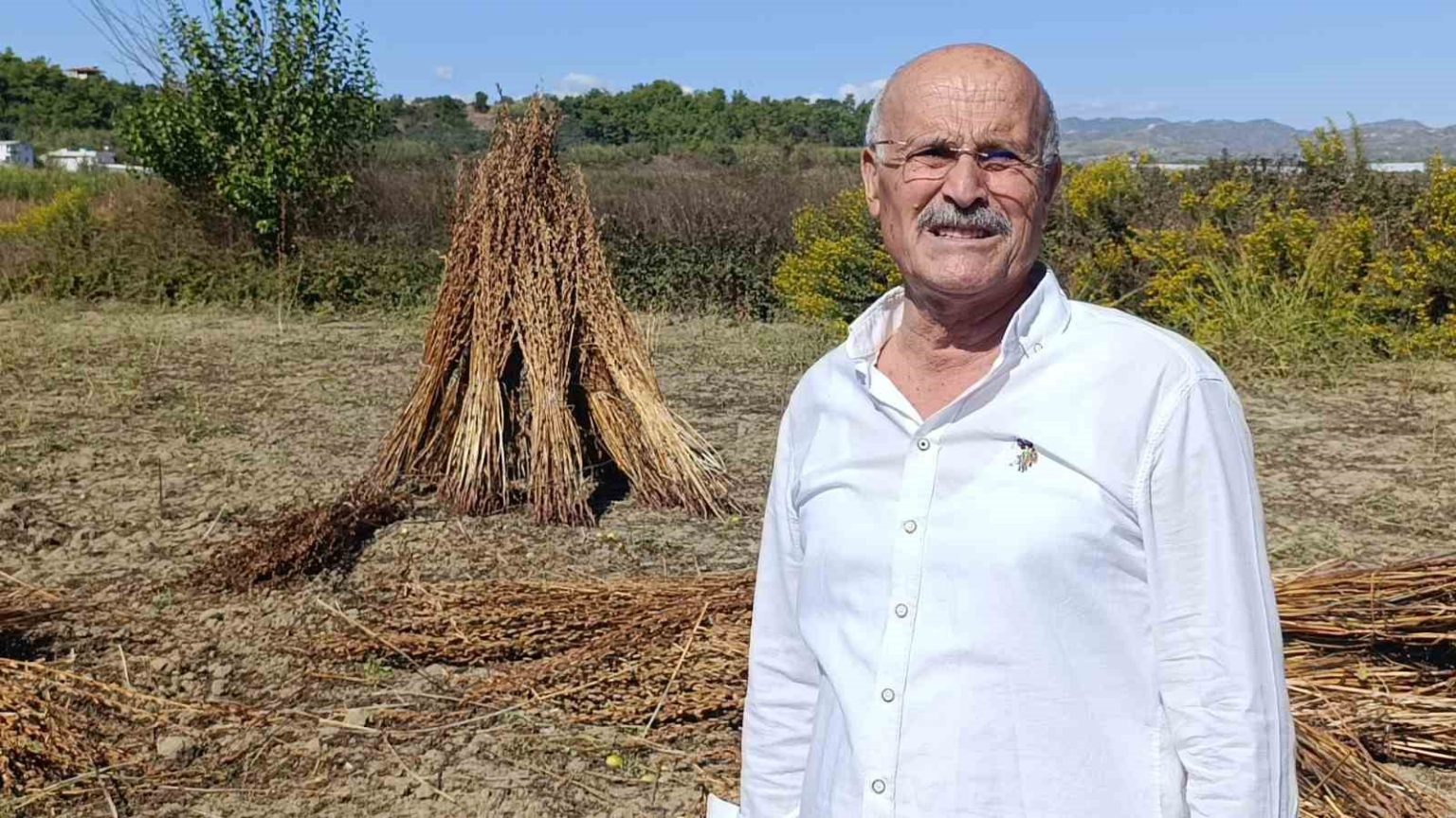 cografi-isaret-tescilli-altin-susama-hirsiz-dadandi