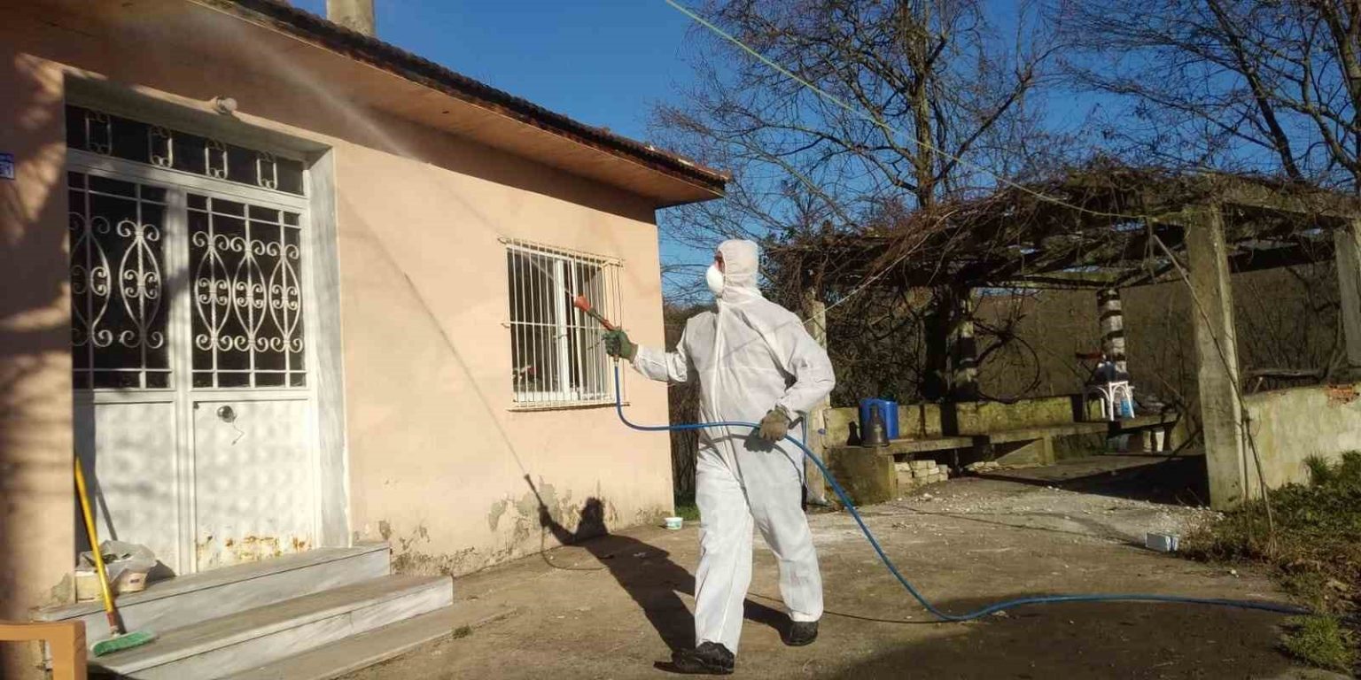 duzcede-kahverengi-kokarca-ile-kislak-mucadelesi-devam-ediyor