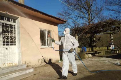 duzcede-kahverengi-kokarca-ile-kislak-mucadelesi-devam-ediyor