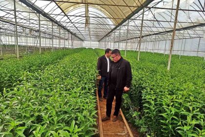 emette-ureticiler-icin-simavdaki-seralara-teknik-gezi