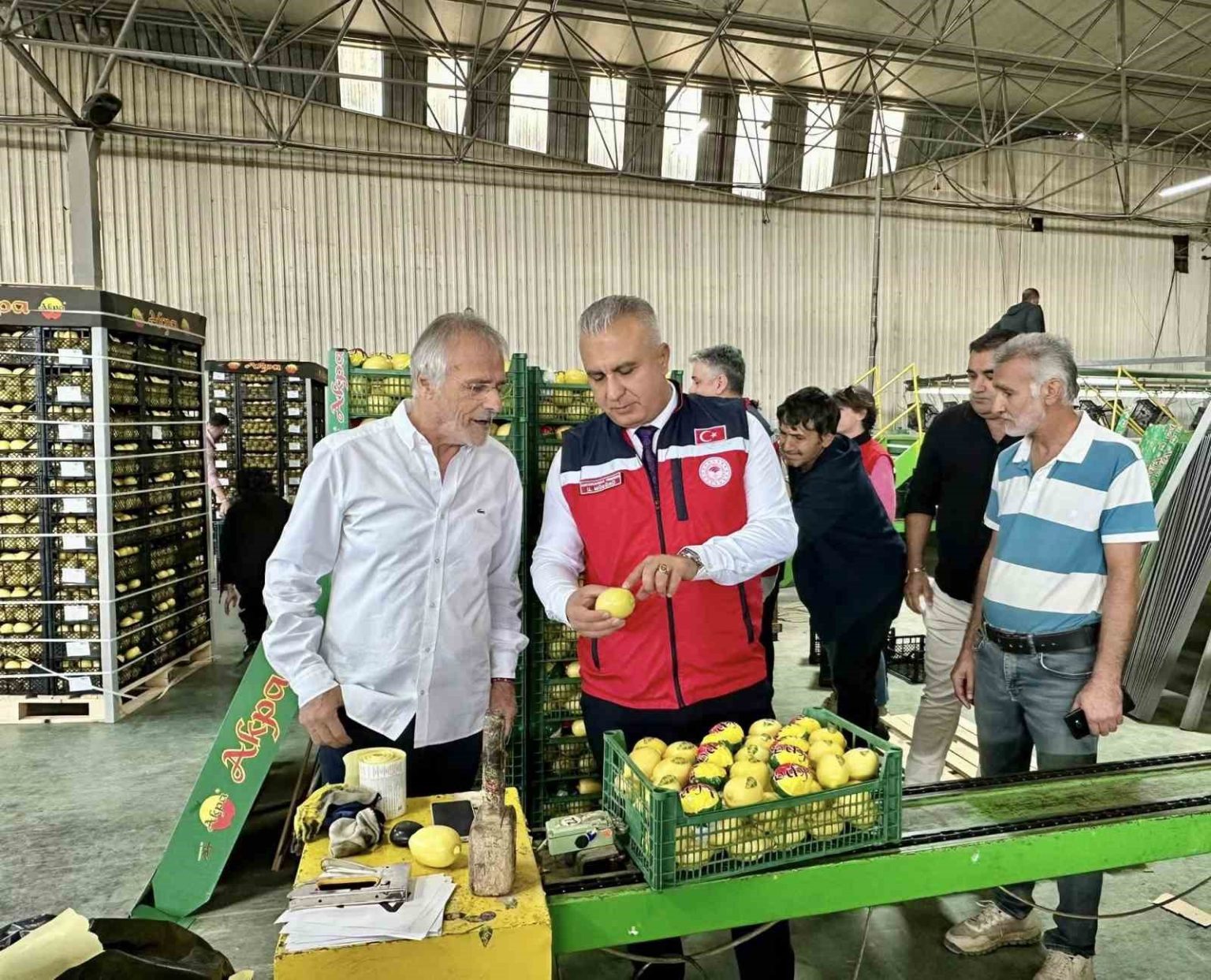 hatayda-limon-ihrac-eden-firmalar-denetlendi