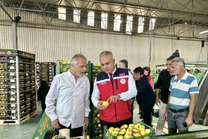 hatayda-limon-ihrac-eden-firmalar-denetlendi