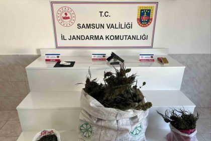 samsunda-jandarmadan-uyusturucu-operasyonu-ipe-asilmis-esrar-ele-gecirildi