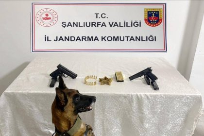 sanliurfada-silah-kacakciligi-operasyonu-8-gozalti