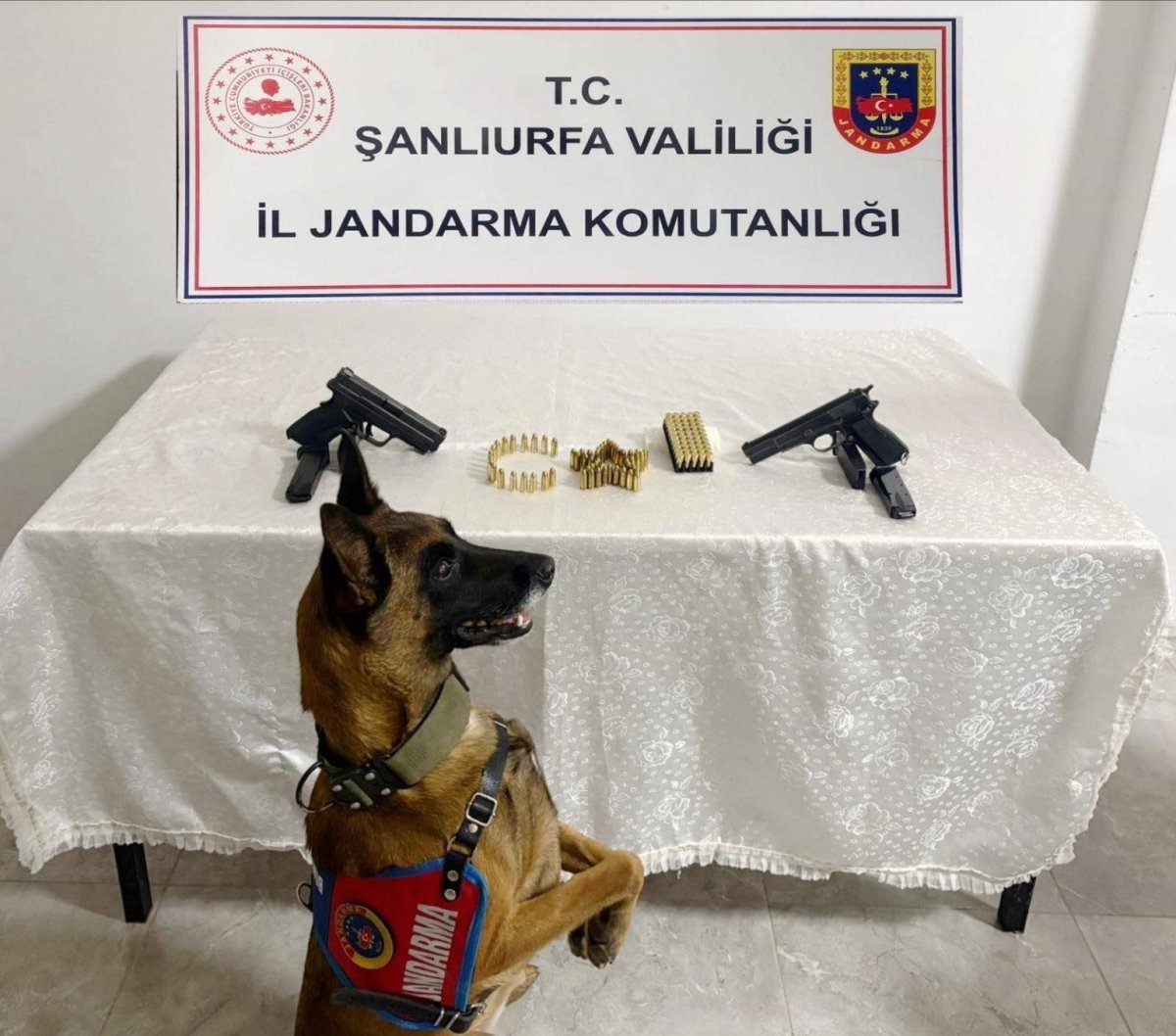 sanliurfada-silah-kacakciligi-operasyonu-8-gozalti