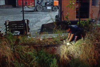 su-kanalina-dusen-kedi-itfaiye-ekiplerince-kurtarildi