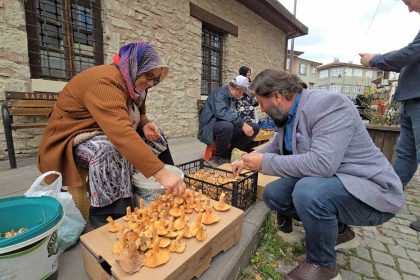 tezgahlarda-kanlica-bollugu-yasaniyor-kilosu-500-tl