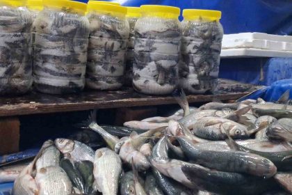 vanda-havalarin-sogumasiyla-inci-kefaline-ilgi-artti