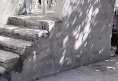 anne-kedinin-cukur-basindaki-nobeti-duygulandirdi