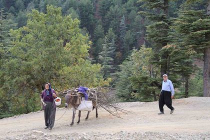 dag-koylerinde-esekle-odun-cekme-nostalji-yasatti