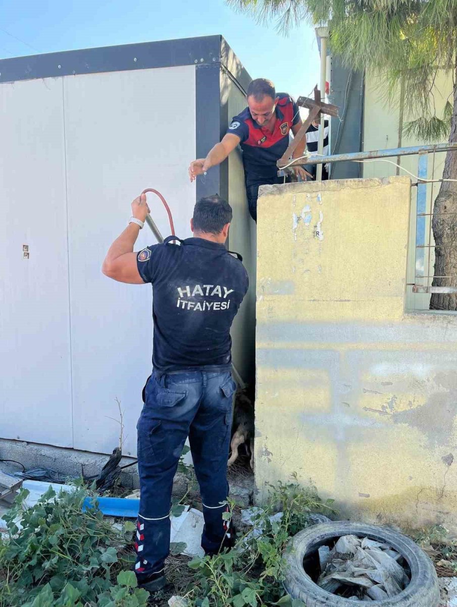 duvar-ile-konteyner-arasinda-sikisan-kopegi-itfaiye-kurtardi