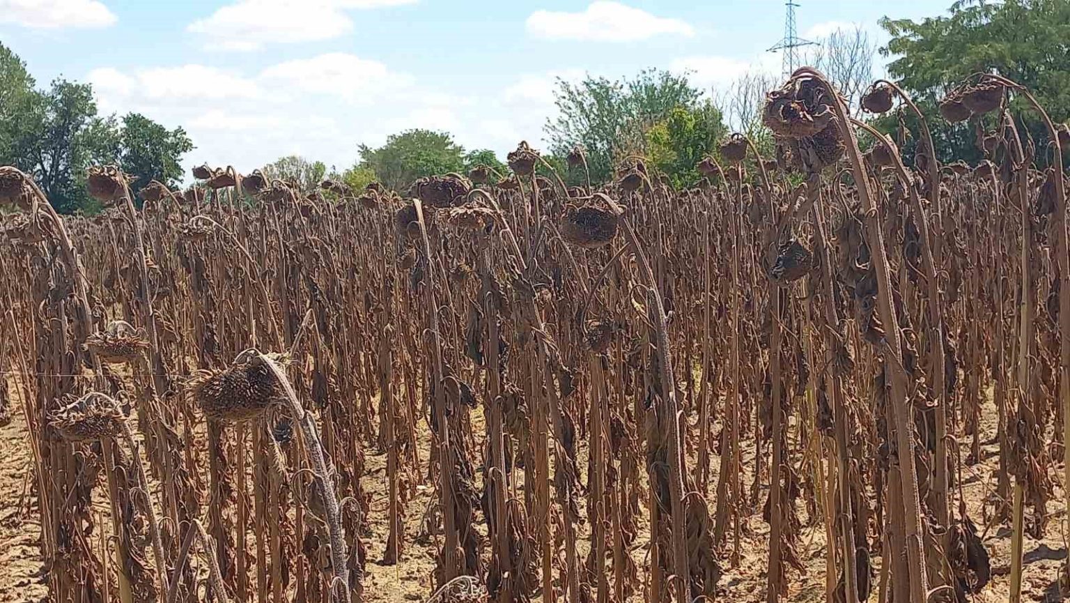 gida-guvenligi-kamu-denetimiyle-saglanmali