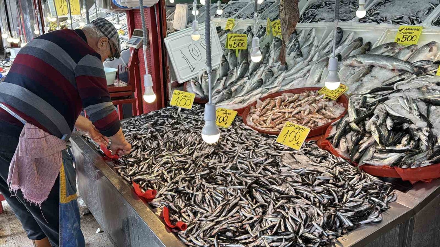 karabukte-balik-tezgahlarinda-hamsi-bollugu-kilosu-100-tlye-kadar-dustu