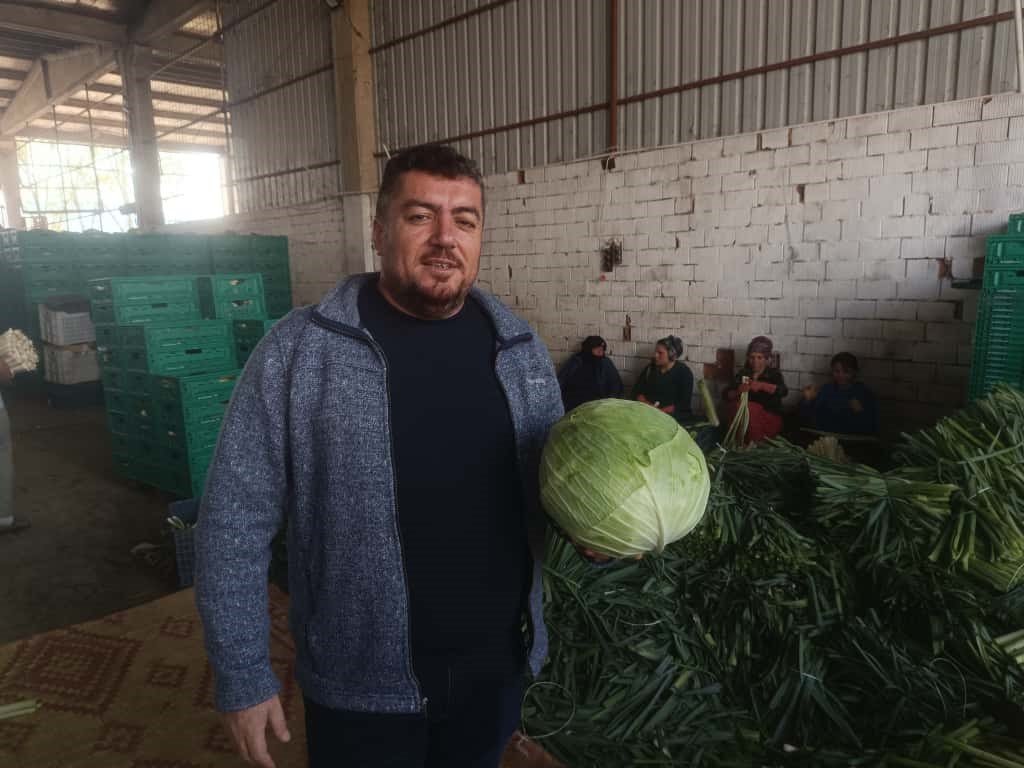 kislik-urunlerde-hasat-basladi