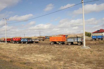 malazgirtte-seker-pancar-alimlari-devam-ediyor