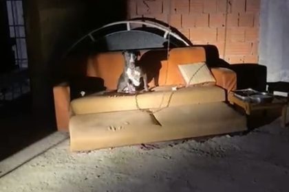 panik-yasayan-mahalle-sakinleri-konustu