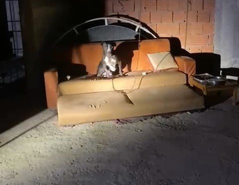 panik-yasayan-mahalle-sakinleri-konustu