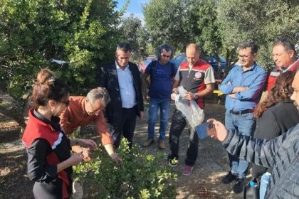 sakiz-agaci-icin-aydinli-ureticilerden-cesmeye-ziyaret