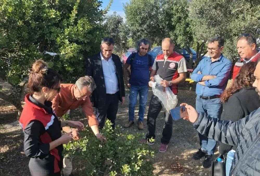 sakiz-agaci-icin-aydinli-ureticilerden-cesmeye-ziyaret