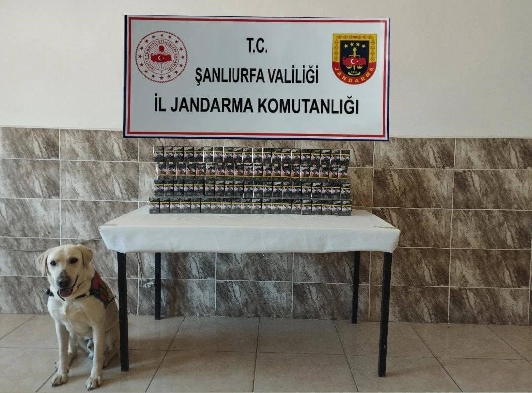 sanliurfada-7-bin-940-paket-kacak-sigara-ele-gecirildi