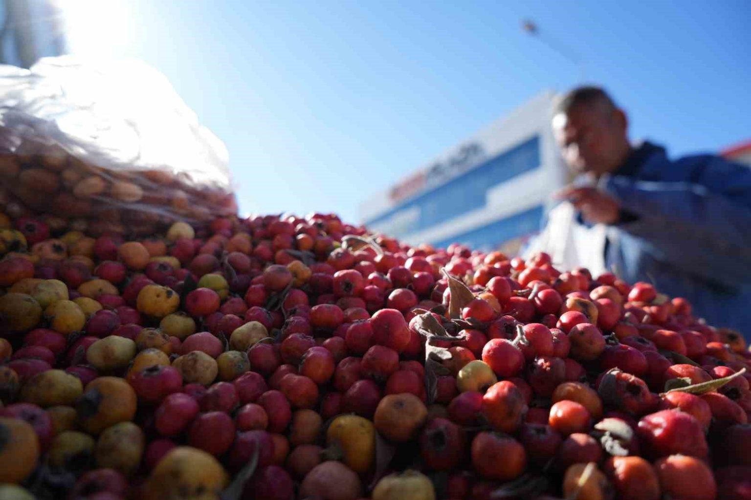 seyyar-doktor-dag-bitkileriyle-sifa-dagitiyor