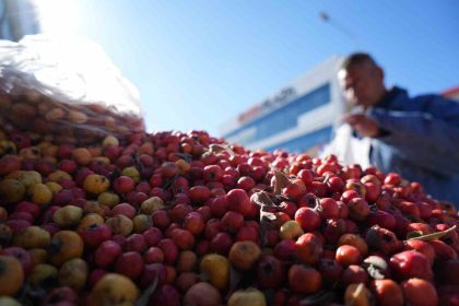 seyyar-doktor-dag-bitkileriyle-sifa-dagitiyor