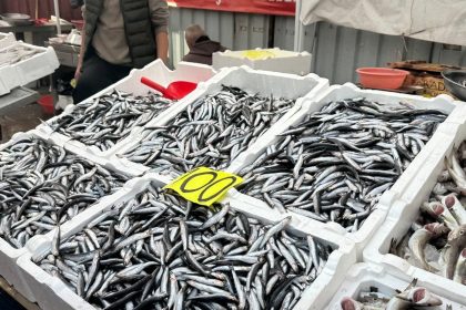 tezgahta-100-liraya-dusen-hamsi-yogun-ilgi-gordu