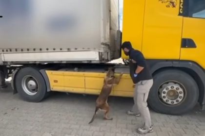 tosyada-tira-zulalanmis-uyusturucu-ele-gecirildi-1-tutuklama