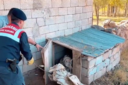 vanda-kurdu-zincirle-baglayan-sahsa-81-bin-355-tl-para-cezasi