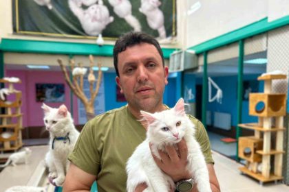 30-yillik-emek-van-kedilerine-bir-omur-adadi