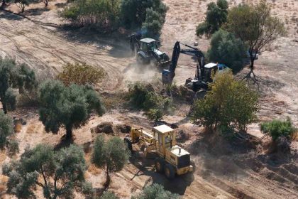 baskan-cercioglu-aydinin-ulasim-agini-guclendiriyor