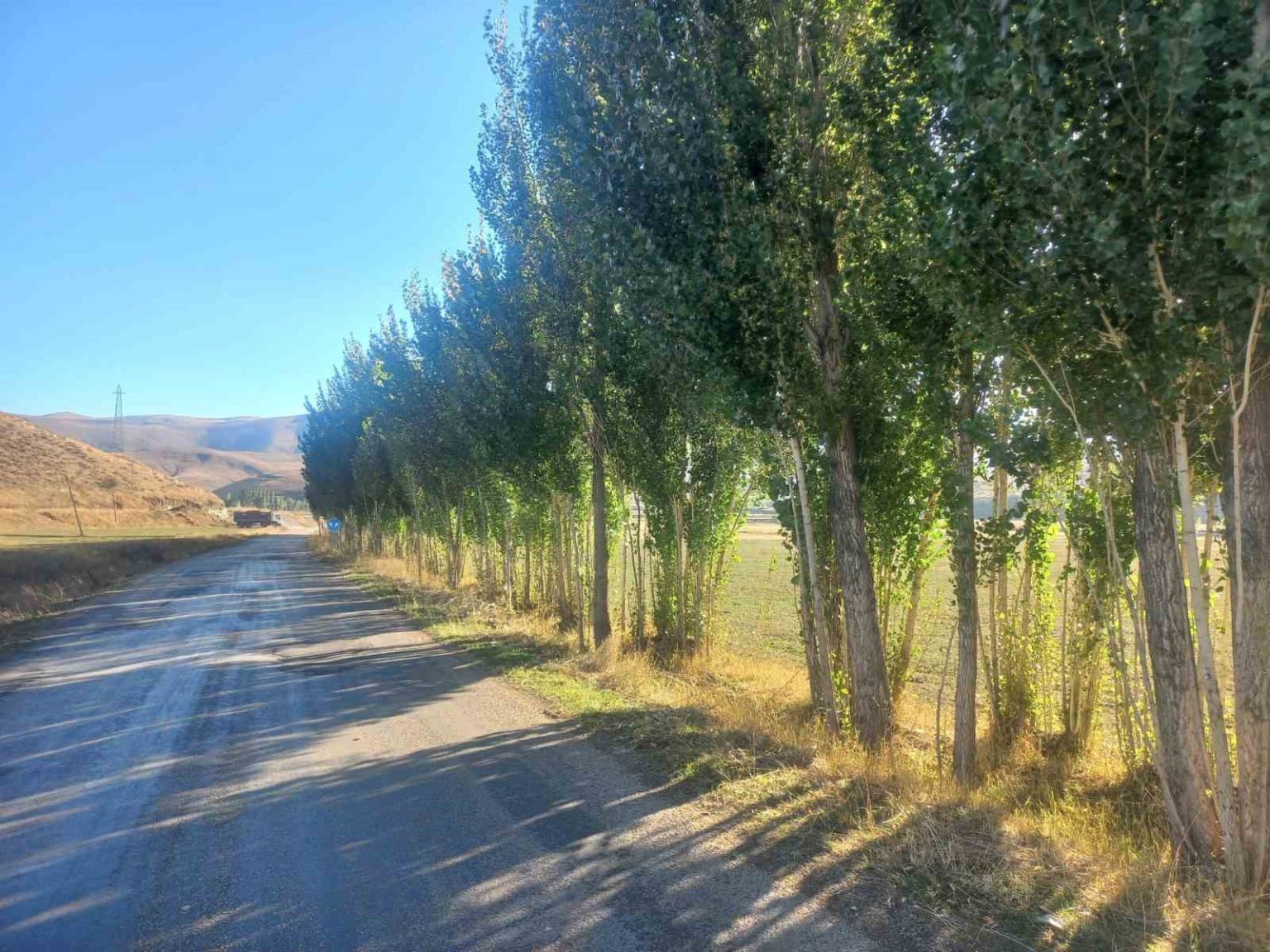bayburtlu-vatandastan-dsiye-tepki-hicbir-gerekce-gostermeden-fidanlarimizi-katletmek-istiyorlar