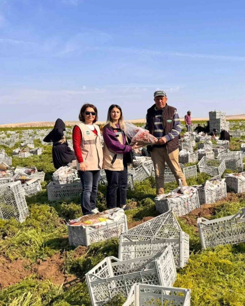 beypazarinda-gida-guvenligi-denetimleri-araliksiz-suruyor