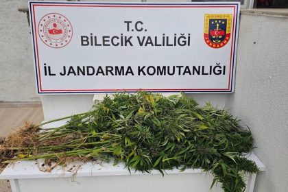bilecikte-kenevir-operasyonu