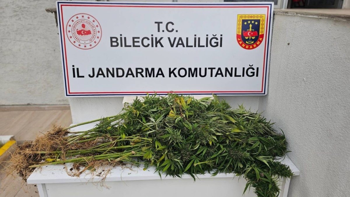 bilecikte-kenevir-operasyonu