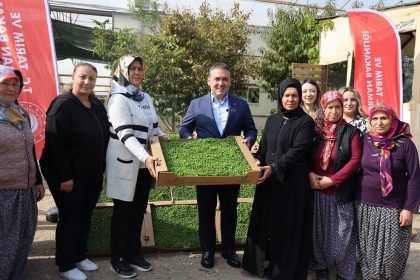 bilecikte-tarima-can-suyu-926-bin-marul-fidesi-toprakla-bulustu
