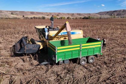 boynunu-egen-gunebakanlar-ureticinin-yuzunu-guldurdu