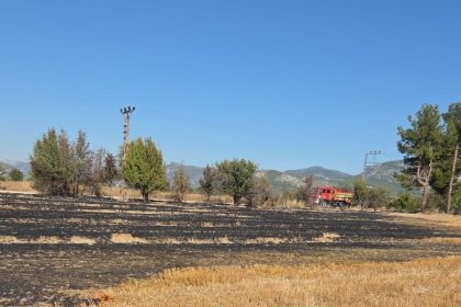 bucakta-arazide-cikan-yangin-itfaiye-ekiplerince-sonduruldu