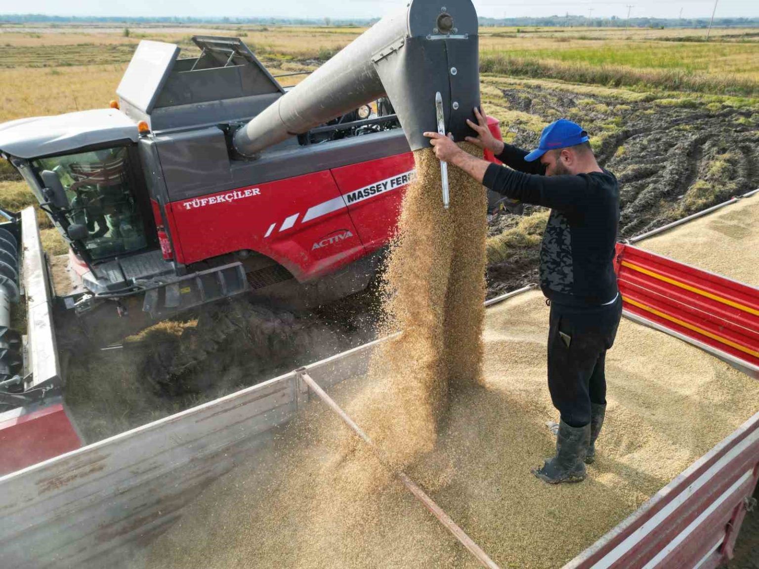 celtik-hasadi-basladi