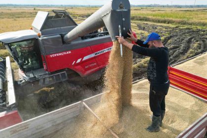 celtik-hasadi-basladi