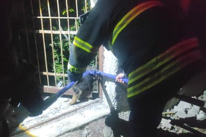 demir-korkuluklara-sikisan-yavru-kopek-itfaiye-ekiplerince-kurtarildi