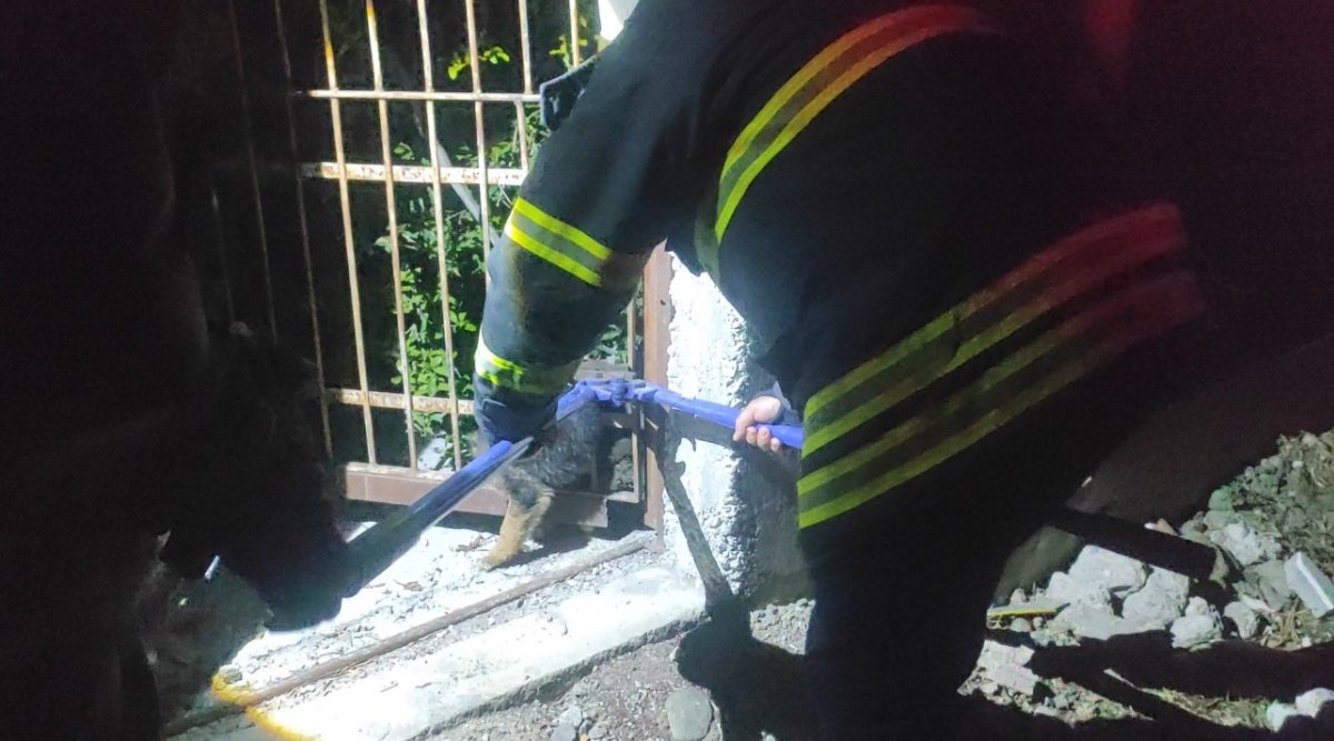 demir-korkuluklara-sikisan-yavru-kopek-itfaiye-ekiplerince-kurtarildi