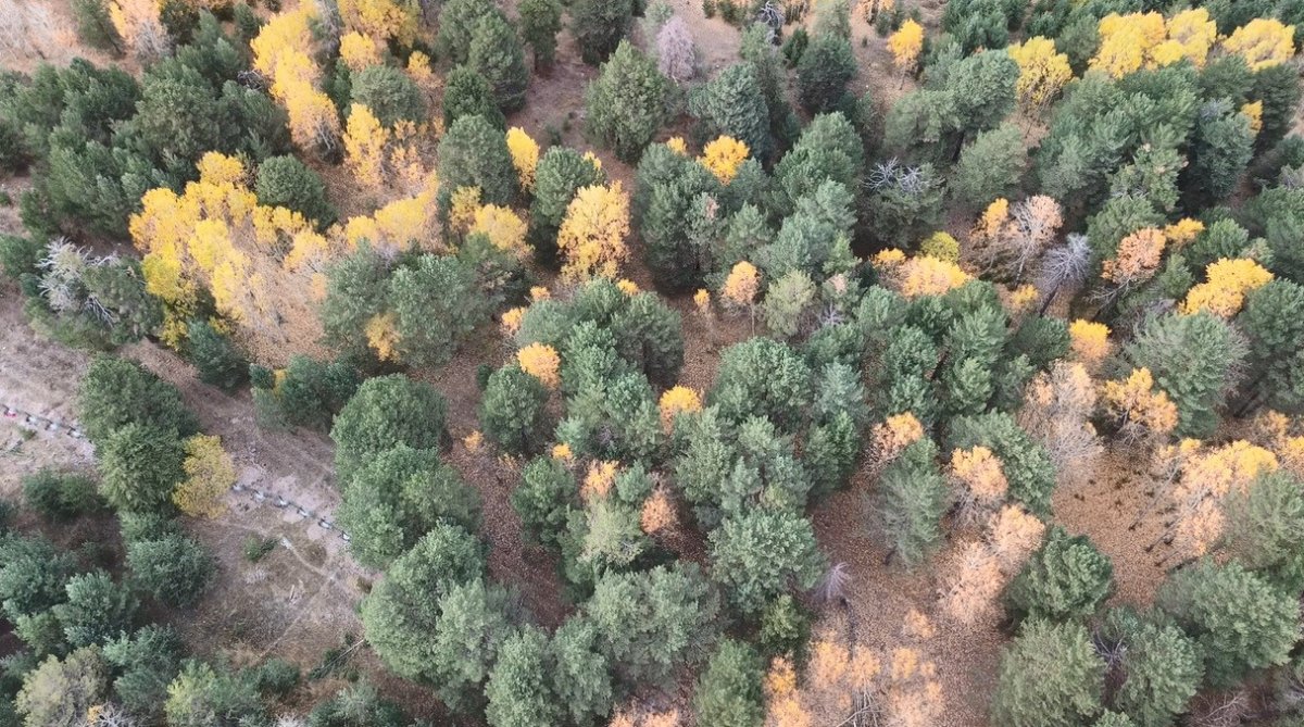 karsta-sonbaharda-renk-cumbusu-yasaniyor