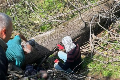 kestigi-agacin-altinda-kalan-kisi-yaralandi