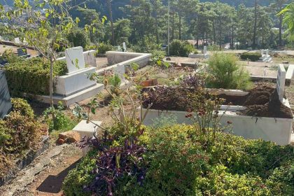 marmariste-yaban-domuzlarinin-yeni-adresi-mezarliklar