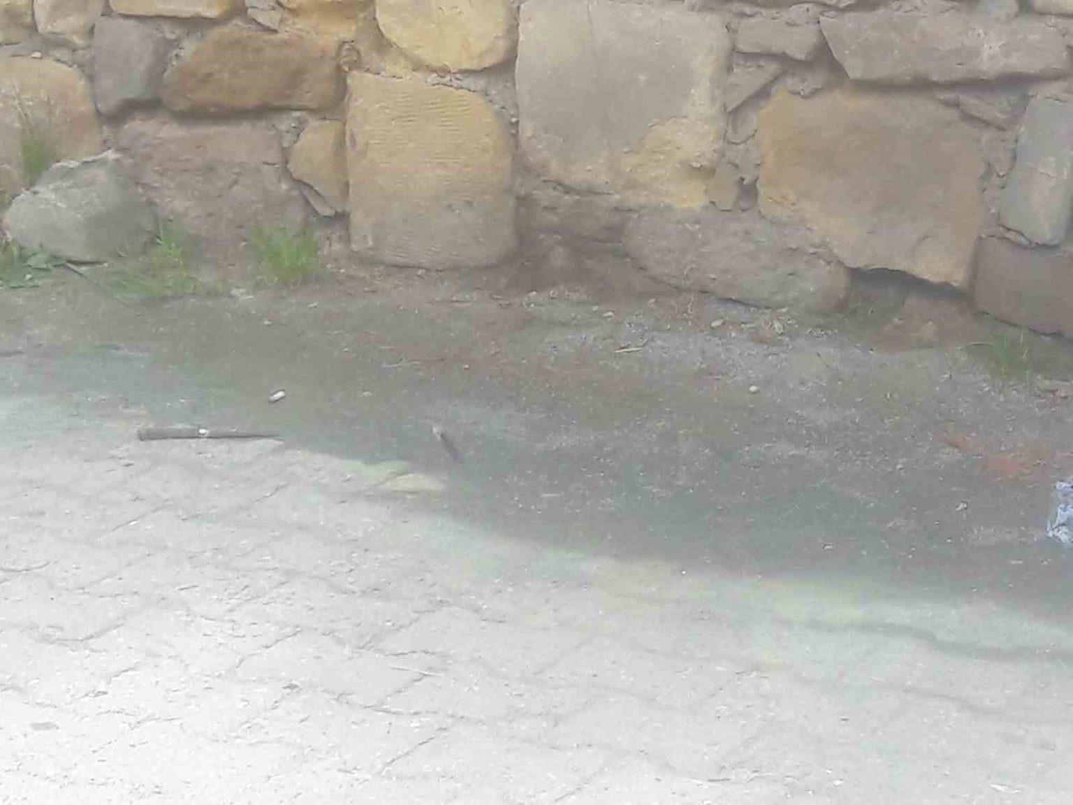 seni-kastamonuda-gezdirmem-sozu-tahrik-sayildi-1-kisiyi-bicaklayan-baba-ogula-indirimli-ceza