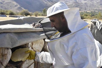 uluslararasi-odullu-bitlis-karakovan-balinda-hasat-zamani